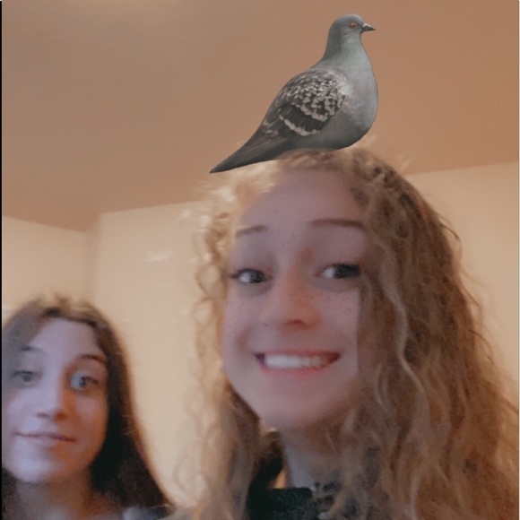 Meet your Posher, Kylee - Picture 1 of 1